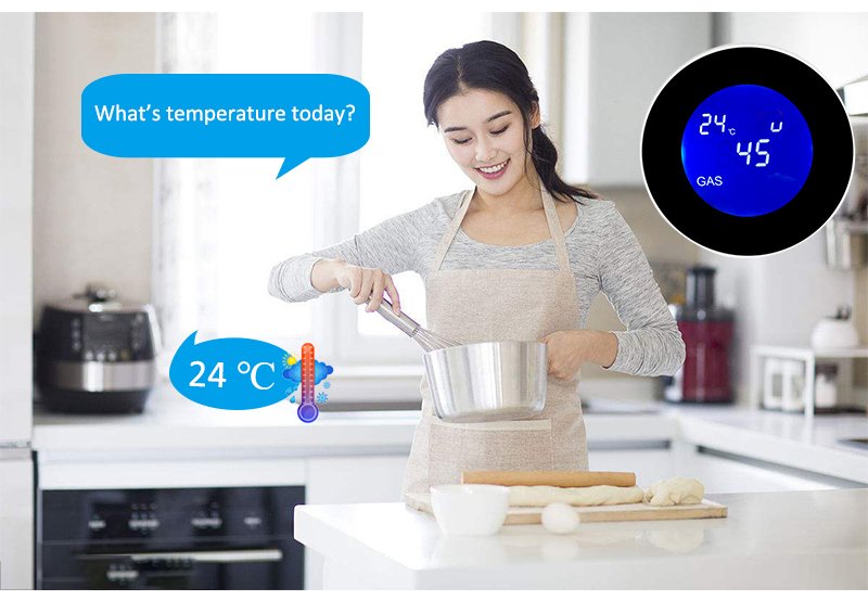 Tuya Smart WiFi Carbon Gas Leak Sensor - Image 6