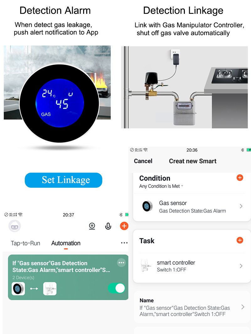 Tuya Smart WiFi Carbon Gas Leak Sensor - Image 2