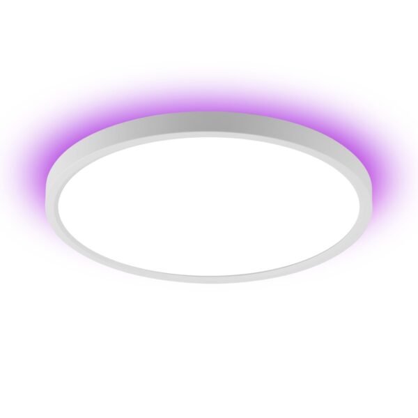 Tuya WiFi Ceiling Light CWW+RGB Backlight