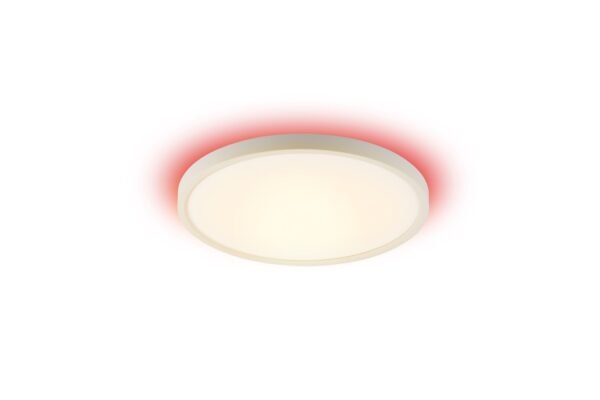 Tuya WiFi Ceiling Light CWW+RGB Backlight - Image 12