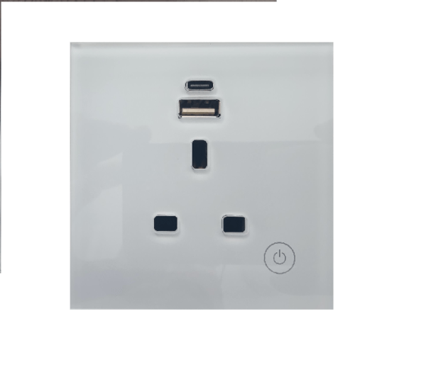 Tuya Smart UK Single Socket with USB A + C