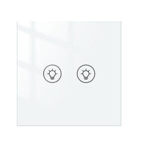 Moes 2 gang dimmer switch wifi version